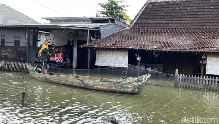 Kondisi banjir di Desa Karangrowo Kecamatan Juwana, Pati, Sabtu (24/1/2026).