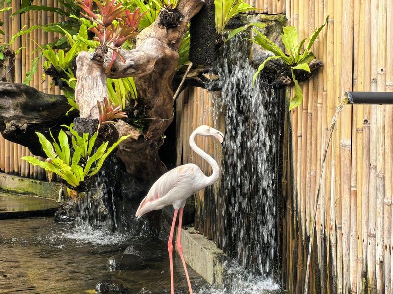 Huawei nova 14 Pro Hadirkan Kualitas Kamera Jempolan, Ini Promo Huawei nova 14 Pro