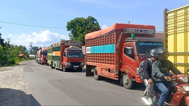 Kemacetan lalu lintas antarprovinsi Sulsel menuju Sulteng dan Sultra lumpuh total akibat massa demo menebang pohon di Walenrang Utara.