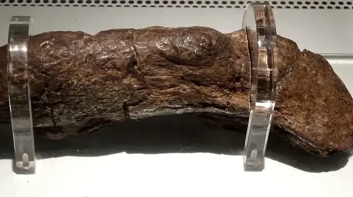 Kotoran Manusia Viking