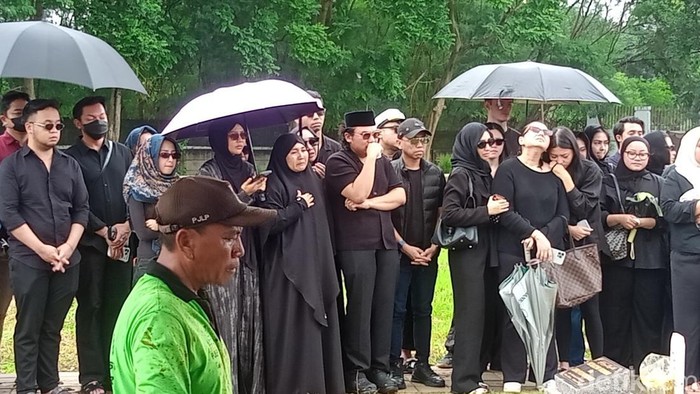 Lulu Lahfah