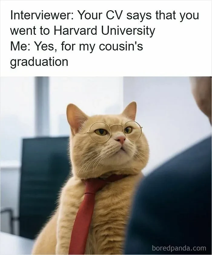 Meme Bikin Resume 'Ngadi-ngadi' buat Ngelamar Kerja, Lah Keterima