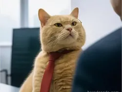 Meme Bikin Resume Ngadi-ngadi buat Ngelamar Kerja, Lah Keterima