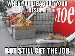 Meme Bikin Resume Ngadi-ngadi buat Ngelamar Kerja, Lah Keterima