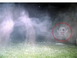 Meme Bikin Resume Ngadi-ngadi buat Ngelamar Kerja, Lah Keterima