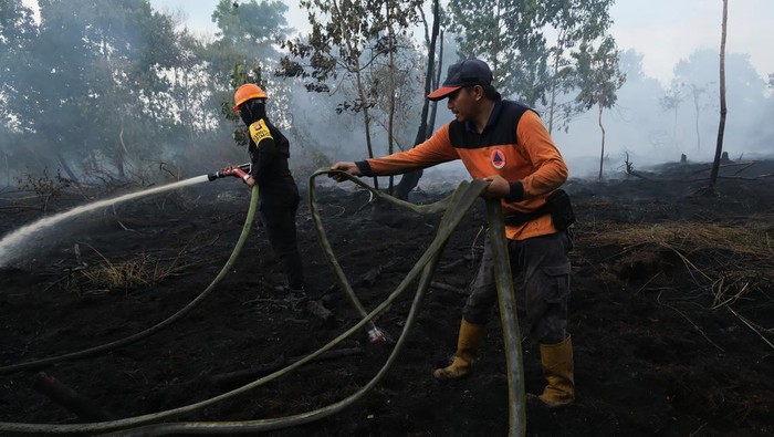 Personel Sat Brimob Polda Kalbar bersama petugas BPBD Kubu Raya melakukan pembasahan di lokasi kebakaran lahan gambut di Jalan Angkasa Pura, Kecamatan Sungai Raya, Kabupaten Kubu Raya, Kalimantan Barat, Sabtu (24/1/2026). Tim gabungan Polda Kalbar, B