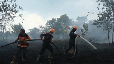 Tim Gabungan Padamkan Karhutla Dekat Bandara Supadio, Puluhan Titik Api Masih Diatasi