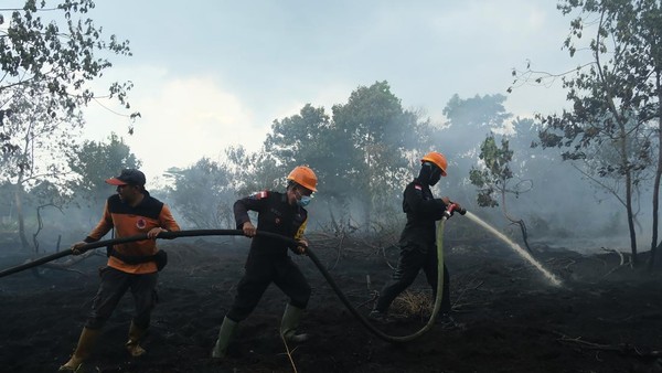 Tim Gabungan Padamkan Karhutla Dekat Bandara Supadio, Puluhan Titik Api Masih Diatasi
