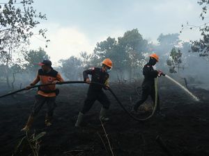 Tim Gabungan Padamkan Karhutla Dekat Bandara Supadio, Puluhan Titik Api Masih Diatasi