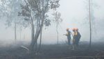 Tim Gabungan Padamkan Karhutla Dekat Bandara Supadio, Puluhan Titik Api Masih Diatasi