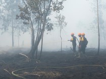 Dua Sisi Lahan Gambut: Menjaga Kestabilan Alam dan Bahaya Karhutla