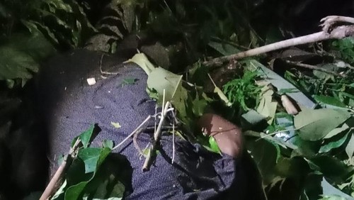 Seorang petani di Desa Wolonterang, Sikka, tewas tertimpa pohon kemiri di kebun miliknya, Jumat (23/1/2026).