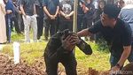 Kecupan Reza Arap di Makam Lula Lahfah
