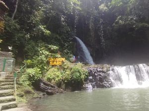 Taman Sari: Air Terjun dan Kolam Alami di Rimbunnya Pepohonan Gianyar