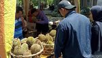 Menilik Pasar Hortikultura Blitar Pusat Durian Lokal