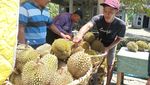 Menilik Pasar Hortikultura Blitar Pusat Durian Lokal