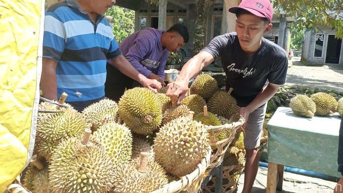 Bazar Durian Blitar