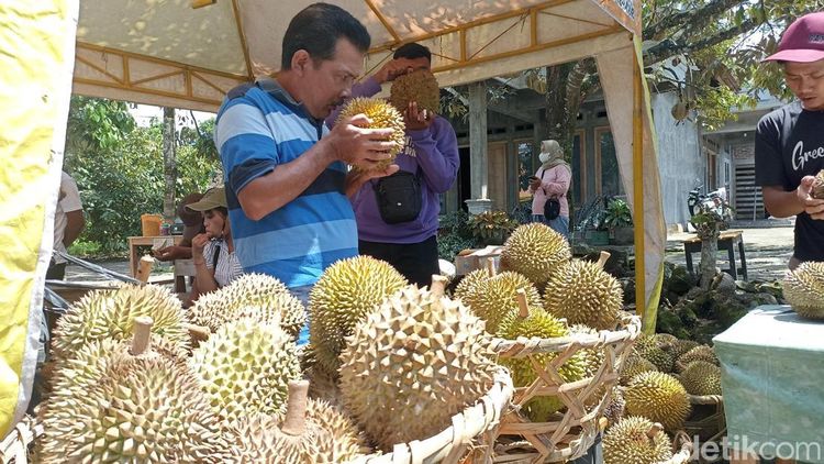 Menilik Pasar Hortikultura Blitar Pusat Durian Lokal