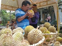 Menilik Pasar Hortikultura Blitar Pusat Durian Lokal