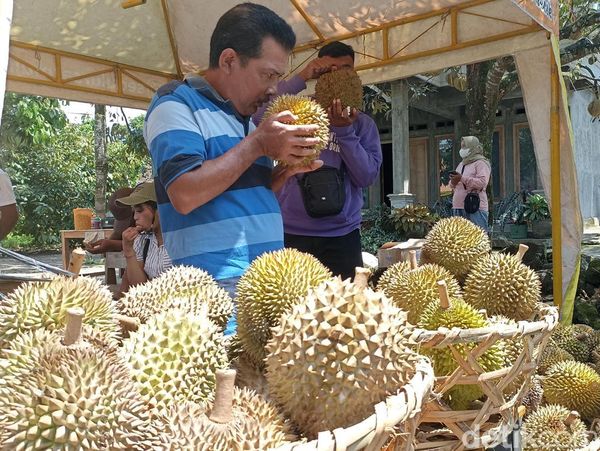 Menilik Pasar Hortikultura Blitar Pusat Durian Lokal