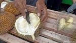 Menilik Pasar Hortikultura Blitar Pusat Durian Lokal