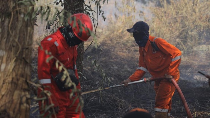 BPBD Pontianak temukan barang bukti dugaan lahan sengaja dibakar.