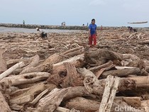 Video Pantai Larangan Tegal Dipenuhi Kayu Usai Banjir Bandang di Guci