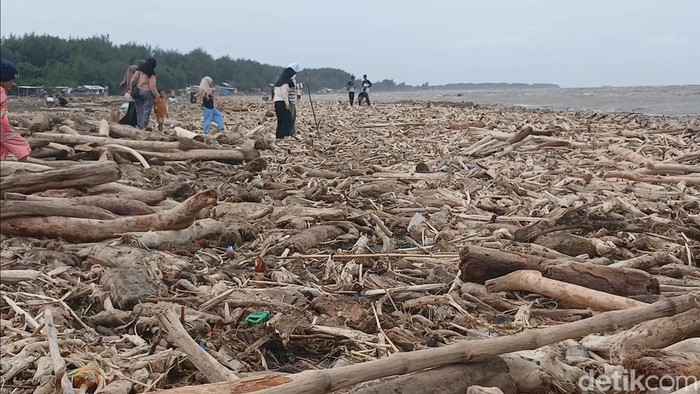 Banjir di Lereng Slamet Bawa Kayu Gelondongan, Walhi: Indikasi Deforestasi