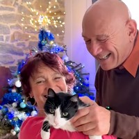 Viral Kucing Peliharaan Tempuh 250 KM Lintas Negara Demi Pulang ke Rumah