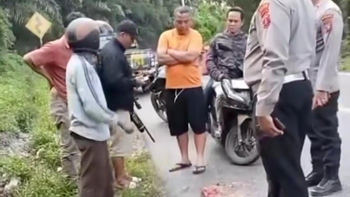 Warga dan polisi saat mengecek macan akar yang terlindas di Simalungun.