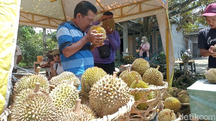 Pasar hortikultura di Blitar, sediakan jenis durian lokal