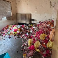 Viral Penyewa Rumah Kabur Tinggalkan Gunungan Sampah dan Tunggakan