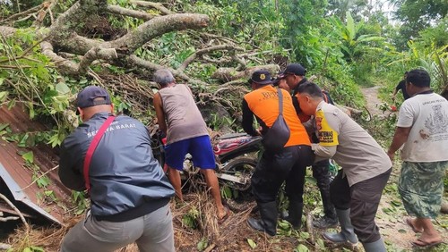 Petugas mengevakuasi motor tertimpa pohon tumbang di Desa Seraya Barat, Karangasem, Selasa (20/1/2026).