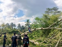 Angin Kencang Terjang Tasikmalaya, Belasan Rumah Rusak Tertimpa Pohon
