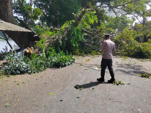 Gerak Cepat Evakuasi Pohon Tumbang yang Tutup Sejumlah Jalan di Blitar