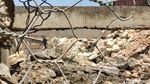 Bangunan Pelindung Tebing Sungai Bengawan Solo di Bojonegoro Ambruk