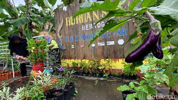 Suasana Buruan SAE Bertoga Padepokan Hegar.