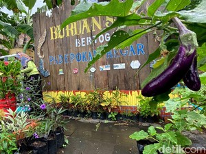 Emak-emak Panyileukan Bandung Manfaatkan Sampah Organik untuk Pupuk