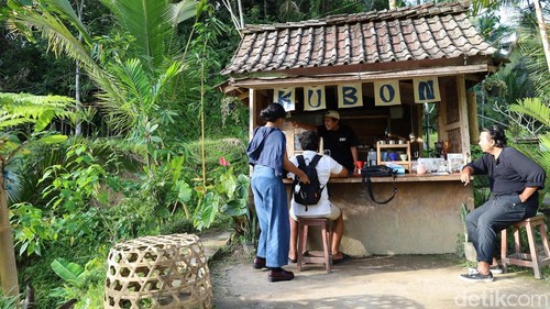 Suasana tenang dan santai di Kubon Coffee, Tegallalang, Gianyar, Bali, Sabtu (24/1/2026). (Foto: Aryo Mahendro/detikBali)
