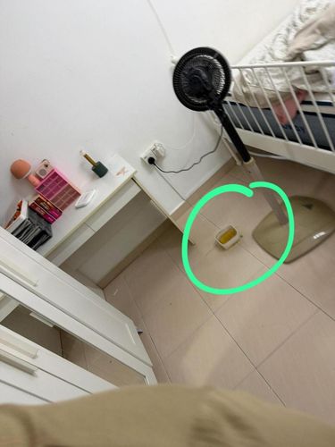 Viral wanita cantik yang hobi dandan ternyata tinggal di kamar penuh sampah. Ia bahkan tega buang air di wadah hingga sisa makanan berjamur dan bau busuk. Viral wanita cantik yang hobi dandan ternyata tinggal di kamar penuh sampah. Ia bahkan tega buang air di wadah hingga sisa makanan berjamur dan bau busuk.