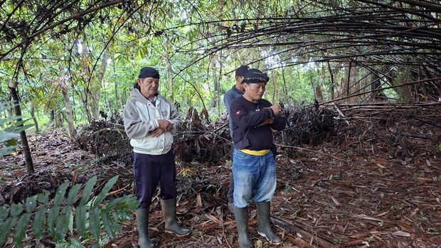 Hutan bambu Tahura Depok