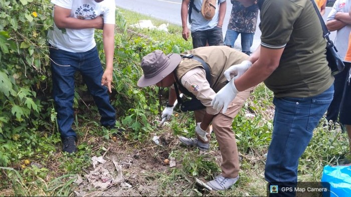 Kronologi Macan Akar Terlindas Kendaraan di Simalungun, Sempat Dikira Harimau