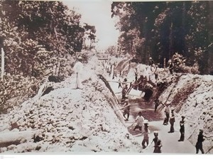 Budak dari Jawa, Kisah Asal-usul Kuli Kontrak di Jawa