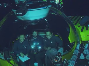 BRIN dan OceanX Identifikasi 14 Megafauna dan Struktur Gunung Bawah Laut di Sulawesi