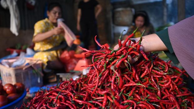 Pedagang melayani pembeli di Pasar Pandan, Kecamatan Pandan, Tapanuli Tengah, Sumatera Utara, Senin (26/1/2026). Aktivitas jual beli di pasar tersebut kembali pulih dengan harga komoditas yang juga berangsur normal seperti harga cabai merah keriting dari Rp150 ribu per kilogram saat sehari pascabencana menjadi Rp20 ribu per kilogram. ANTARA FOTO/Indrianto Eko Suwarso/nz