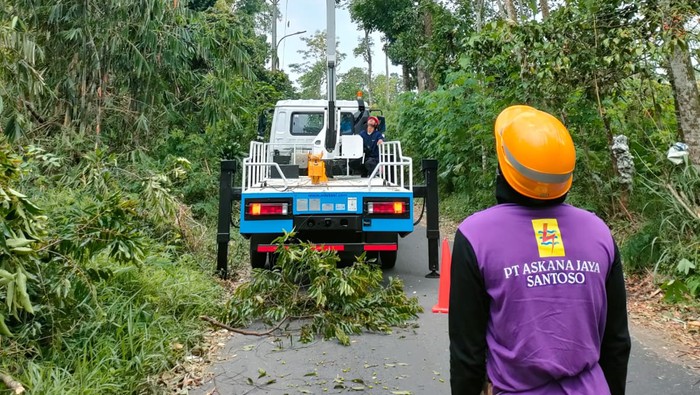 Petugas PLN UP3 Jogja saat menangani gangguan kelistrikan akibat angin kencang di DIY.