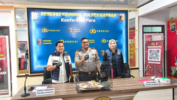 Polres Kampar Tangkap Penjual Satwa Langka, Owa Ungko Dihargai Rp 8 Juta