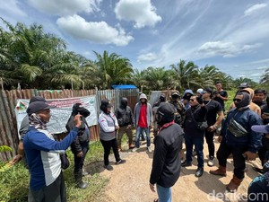 Ketua Koperasi di Kubu Raya Jadi Tersangka, Warga Tetap Duduki Lahan Sawit