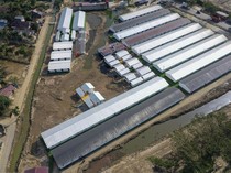 Video: Wapres Gibran Tinjau Huntara untuk Korban Bencana di Aceh Tamiang