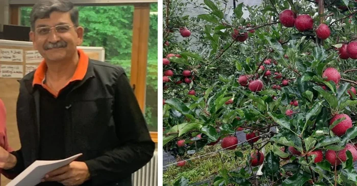 Veteran Perang Nekat Jadi Petani Apel, Kini Sukses Bisa Panen 11 Ton